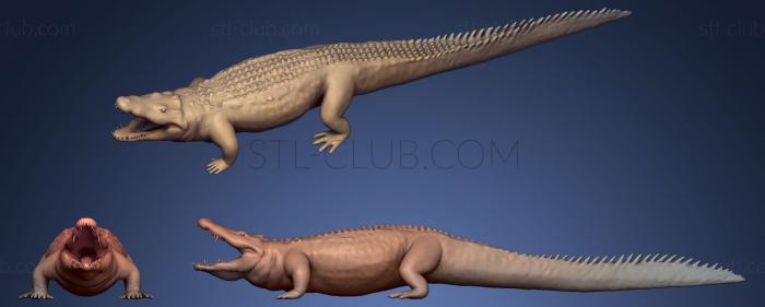 3D model African Crocodile (STL)